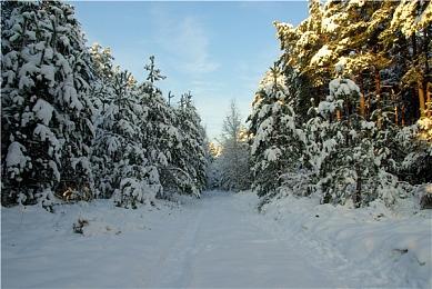 2D黑暗奇幻风格类魂游戏《红眼露比》上架Steam